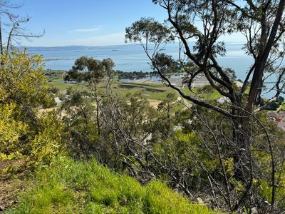 bayshore hill, candlestick park(ing lot)