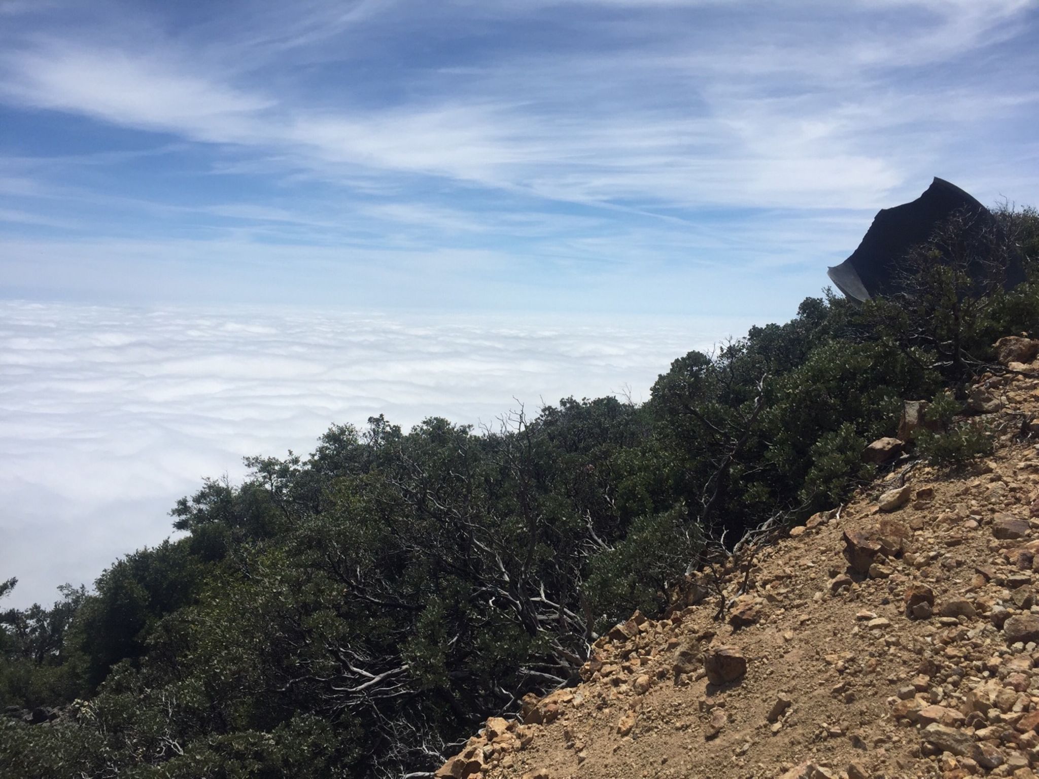 Mt St Helena