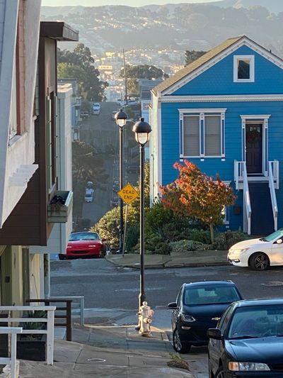 as of this walk, i've walked every single street in noe valley