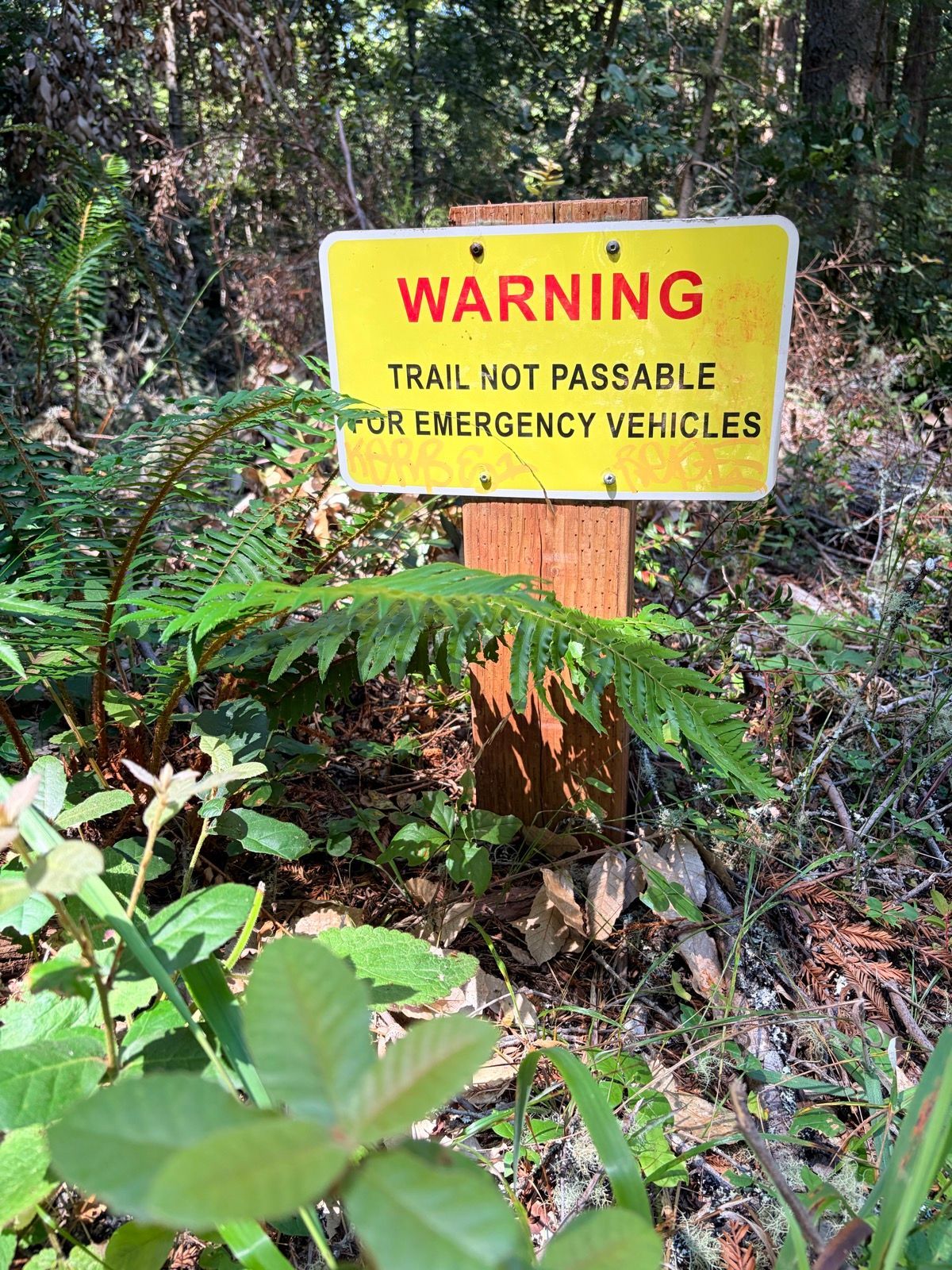 Grabtown Gulch to Purisima Creek