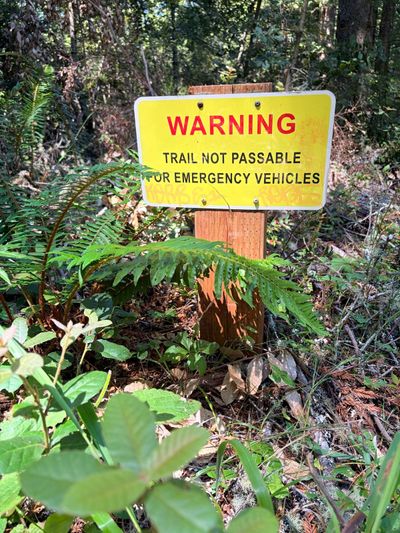 Grabtown Gulch to Purisima Creek