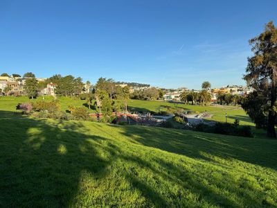 Morning Walk