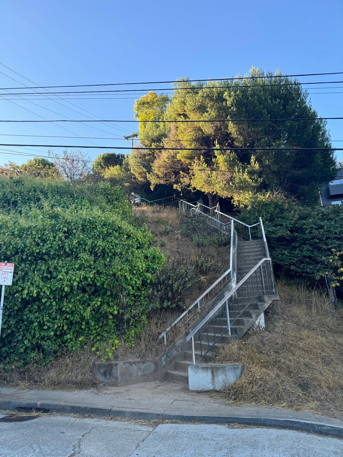 all the stairs and a swing!