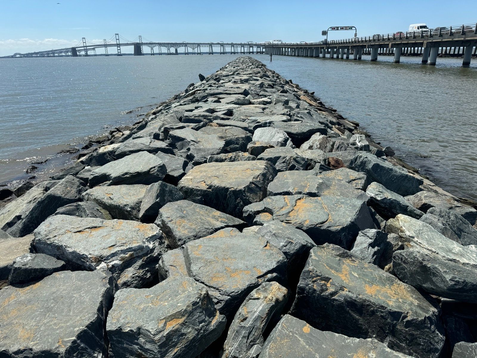 Lunch Walk