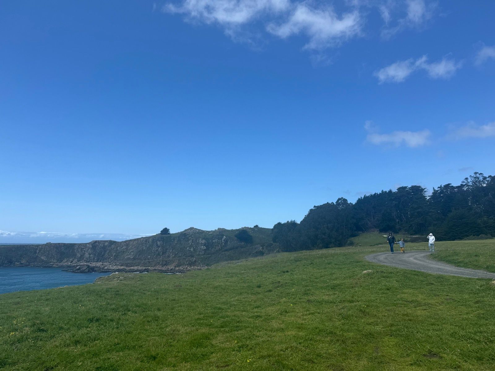 Afternoon Walk