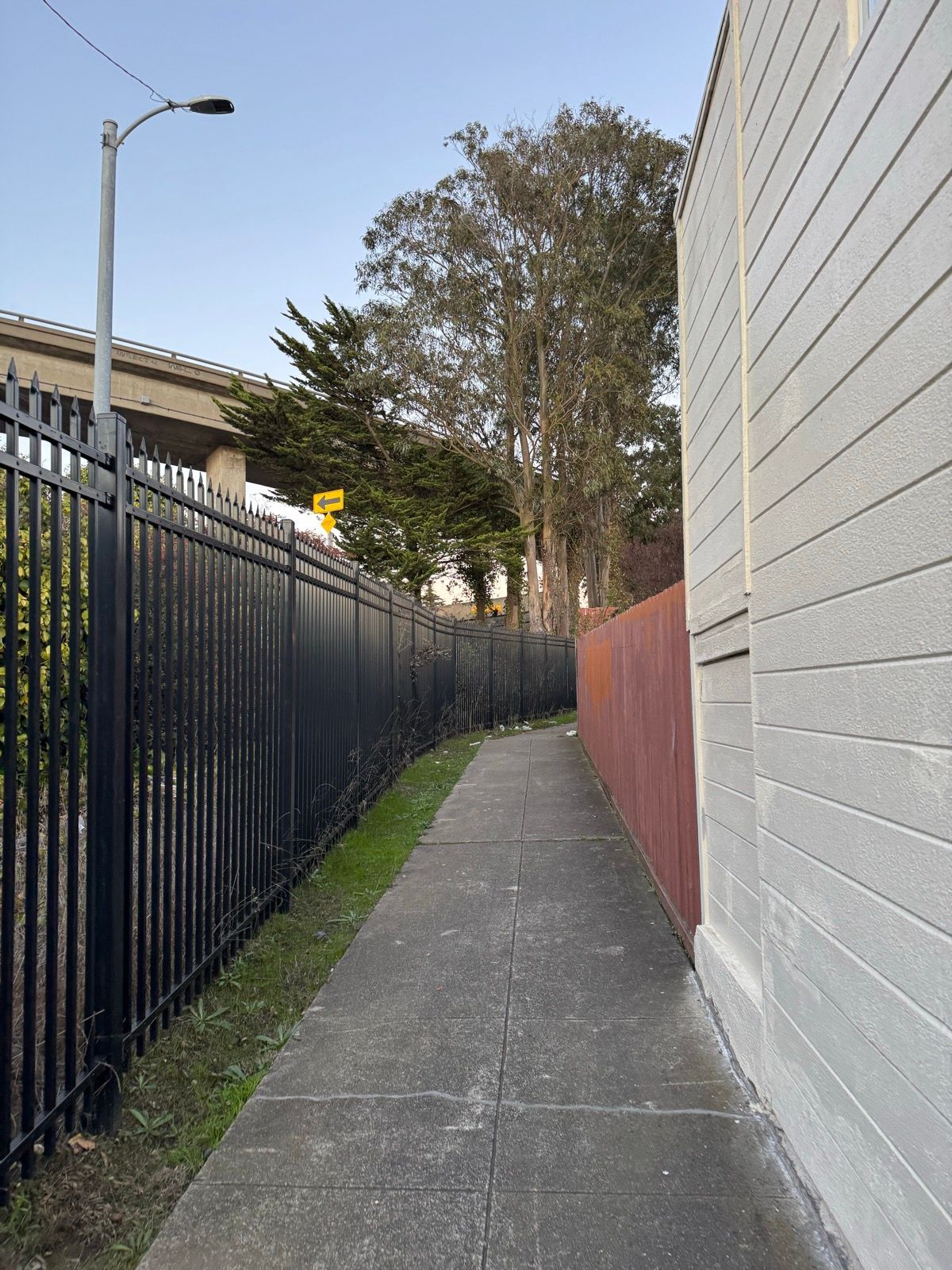 Afternoon Walk