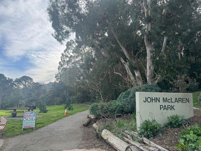 Afternoon Walk