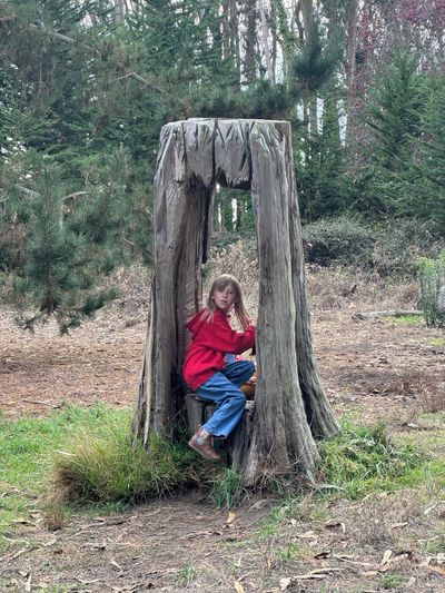neat, never seen this andy goldsworthy stuff before