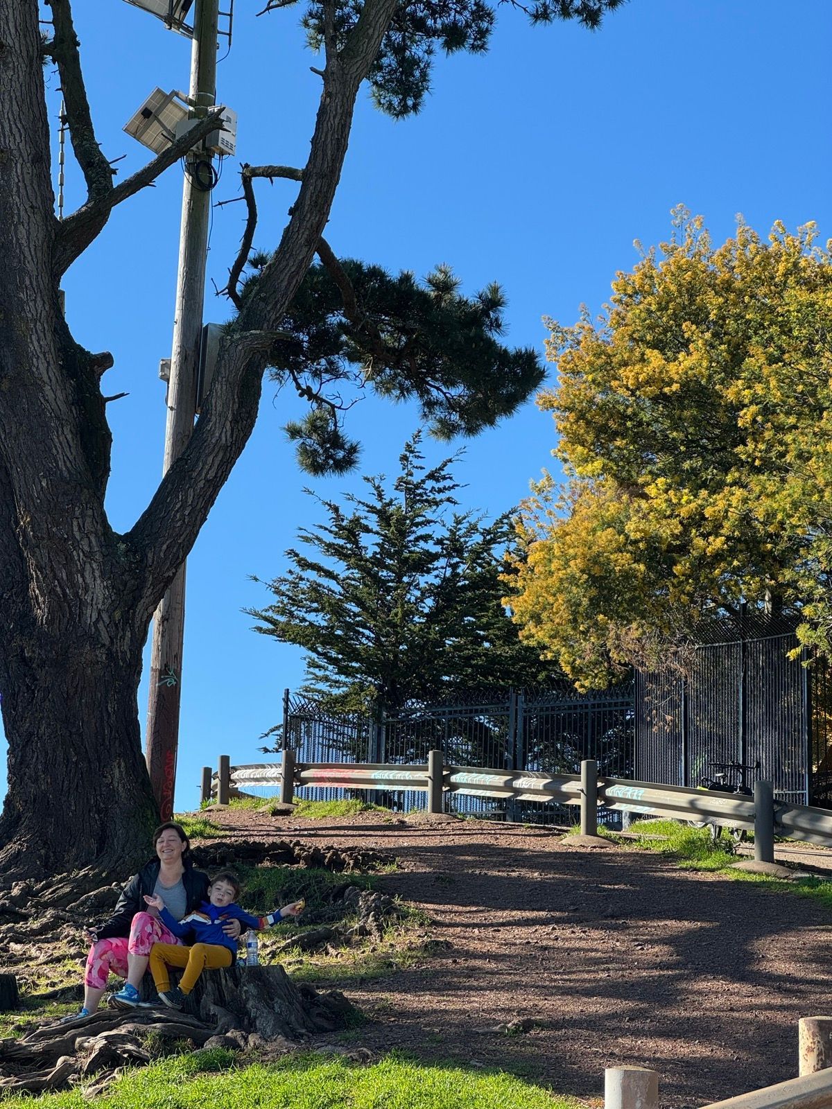Lunch Walk