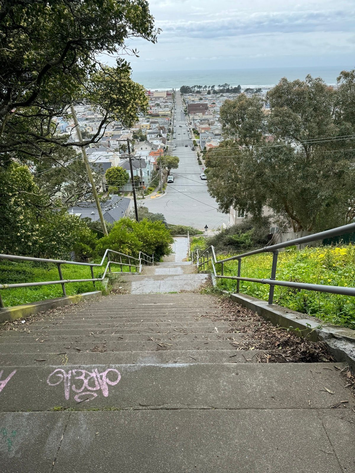 Afternoon Walk