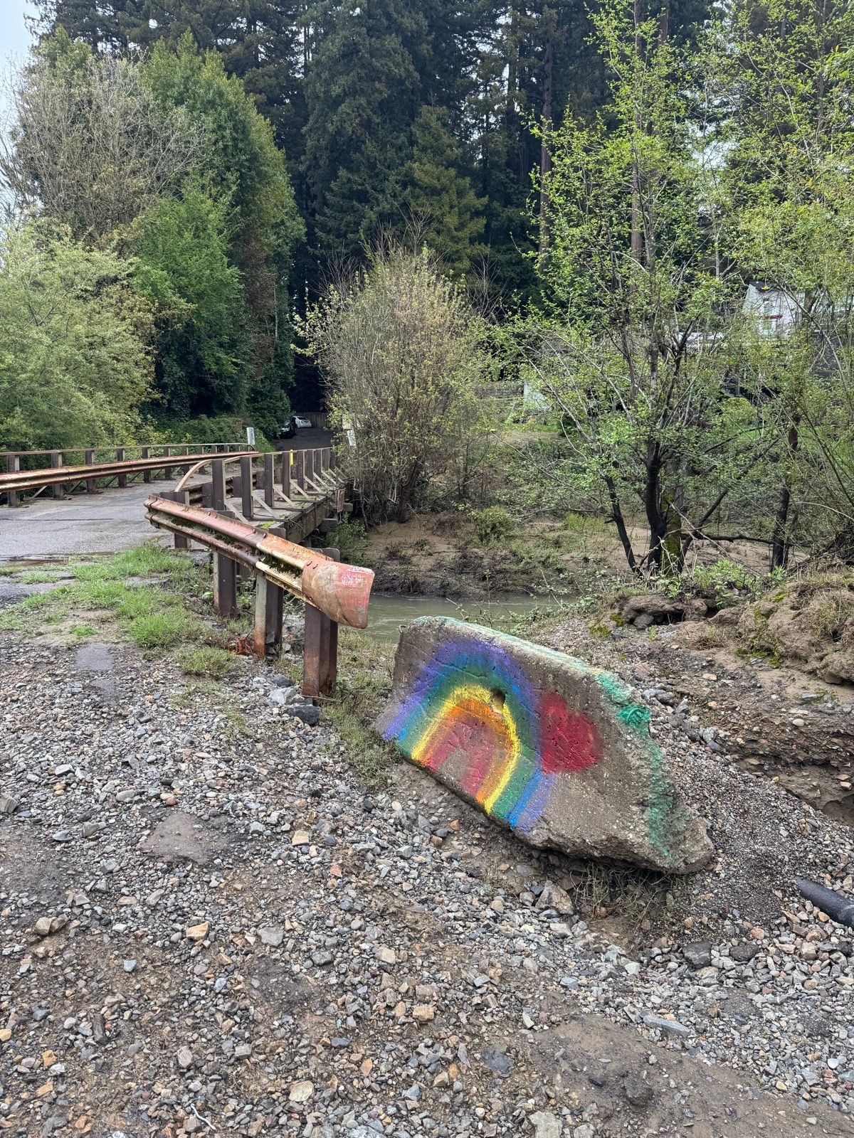 Afternoon Walk