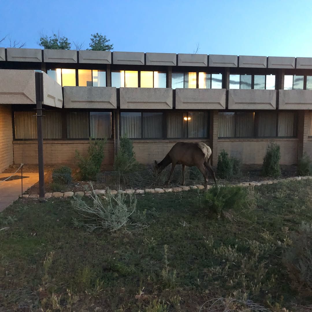 the grand canyon is real as hell but Walkers know those railings probably aren’t