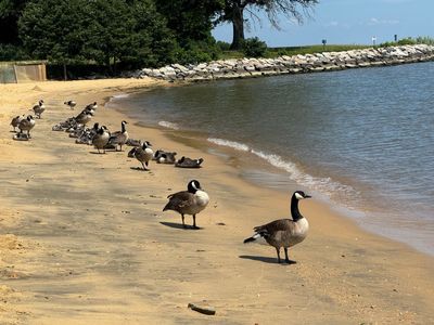 Lunch Walk