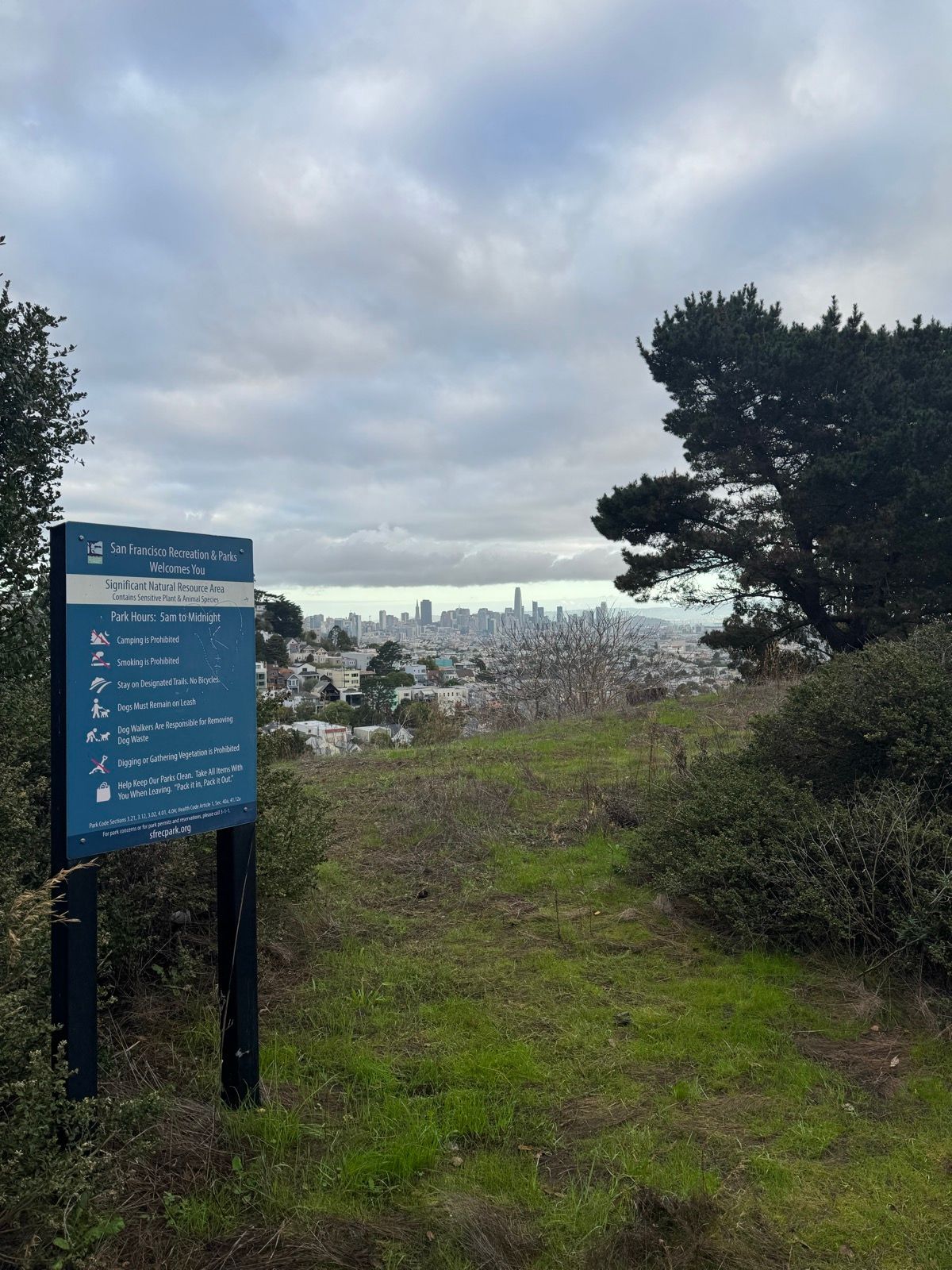 Morning Walk