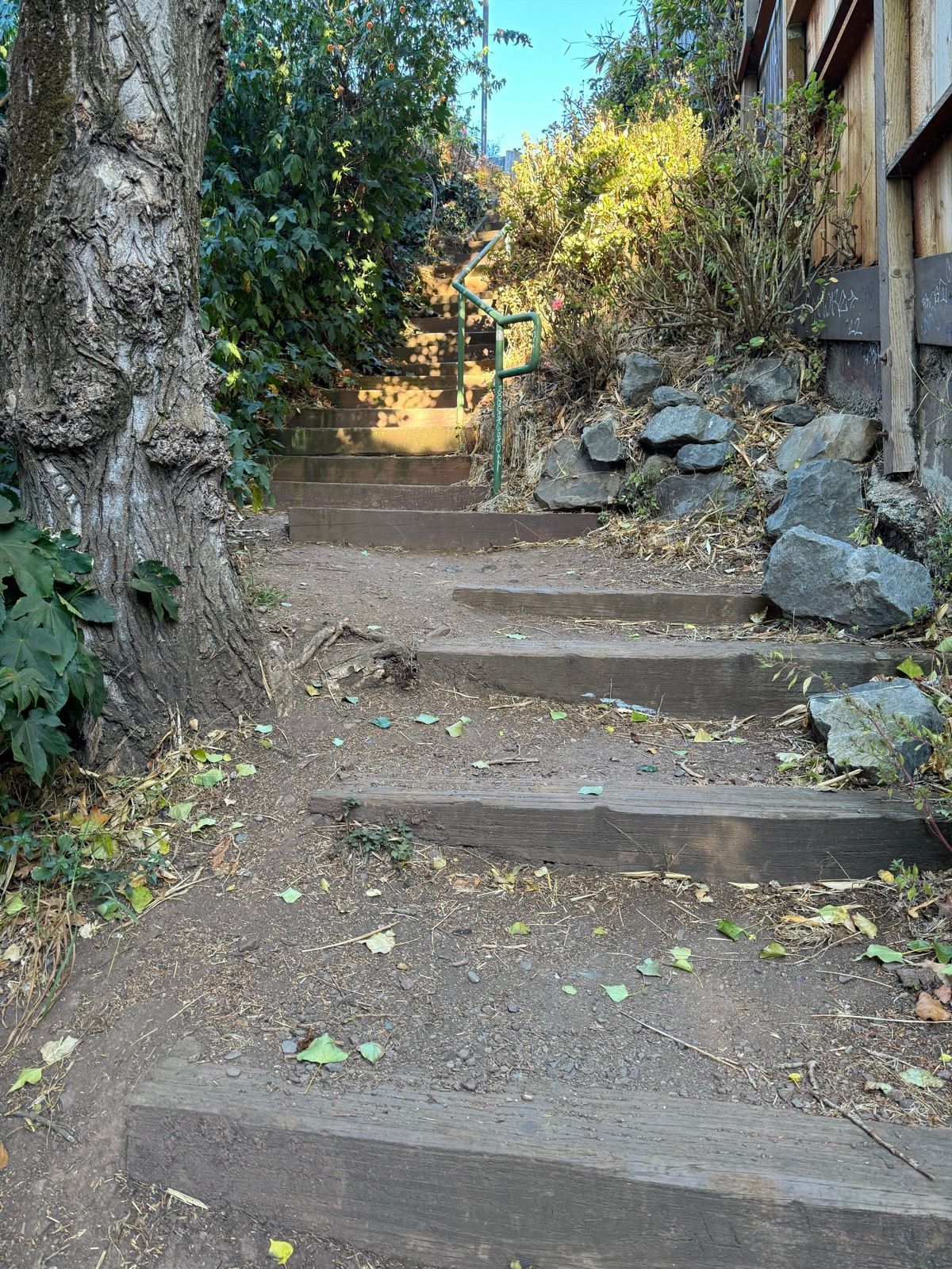 all the stairs and a swing!