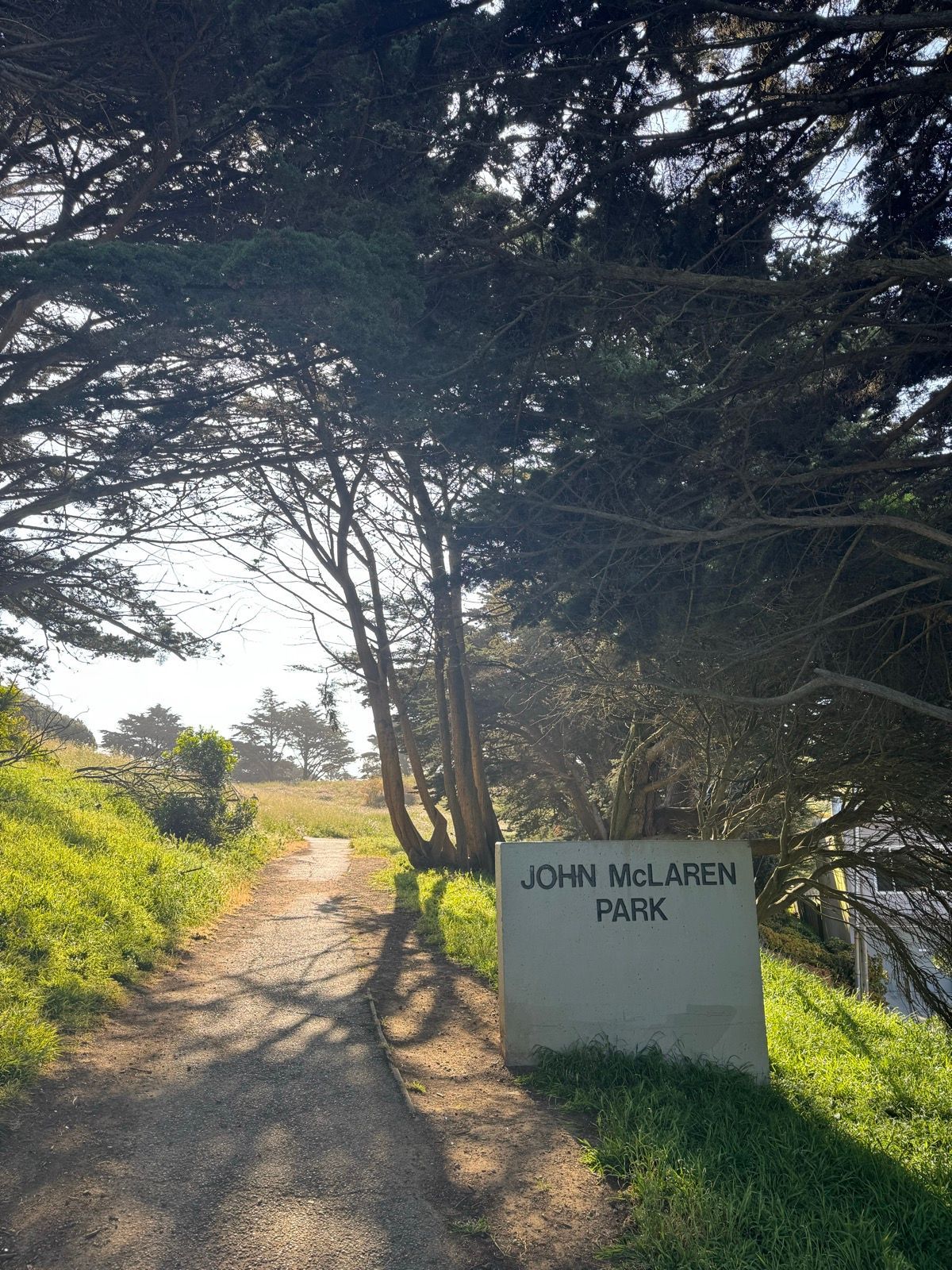 Morning Walk