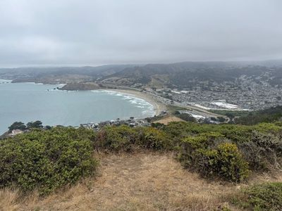 Whale watching from the Pedro Point Headlands on Foggy afternoon.
