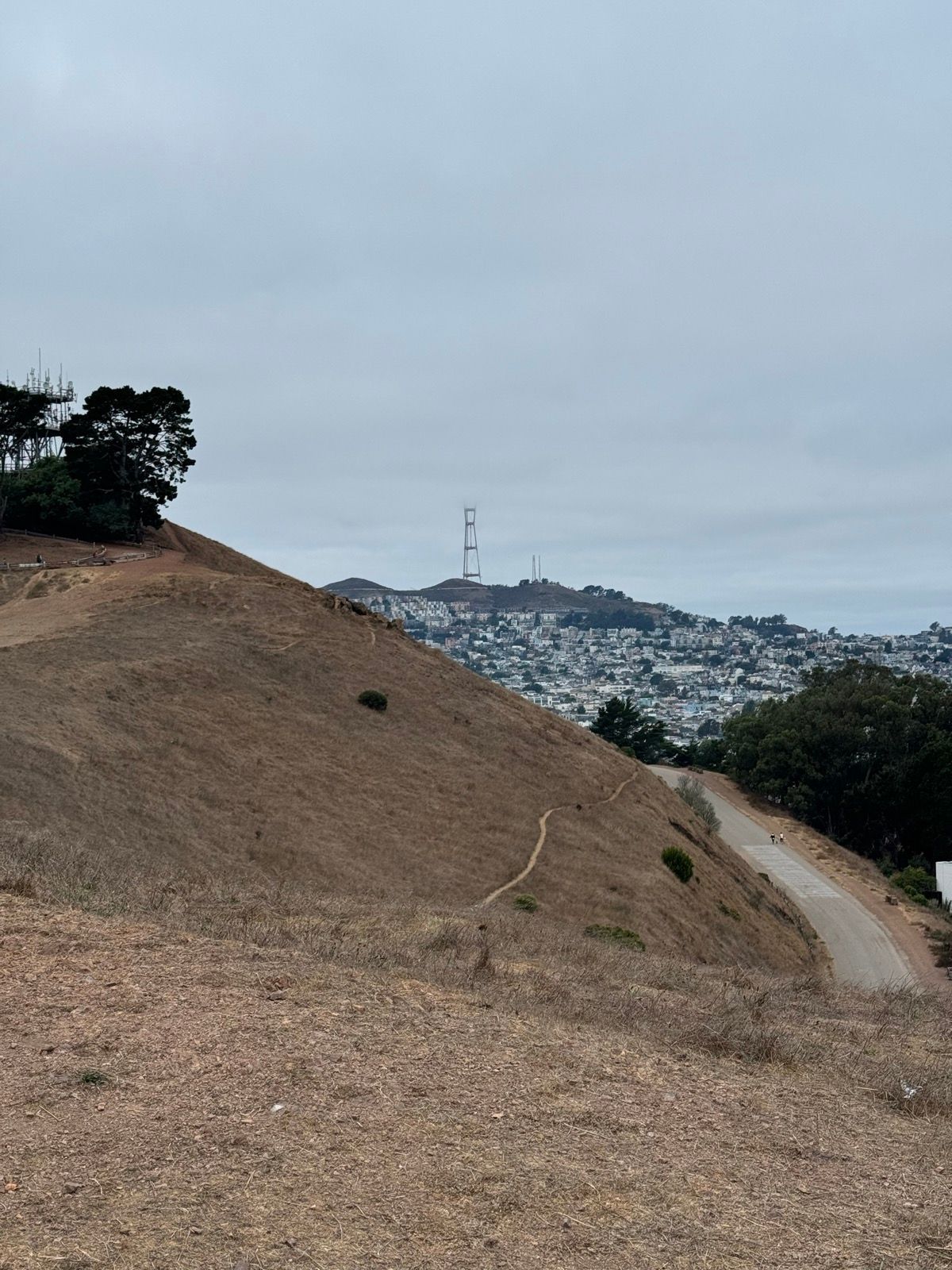 Morning Walk