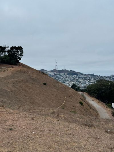 Morning Walk