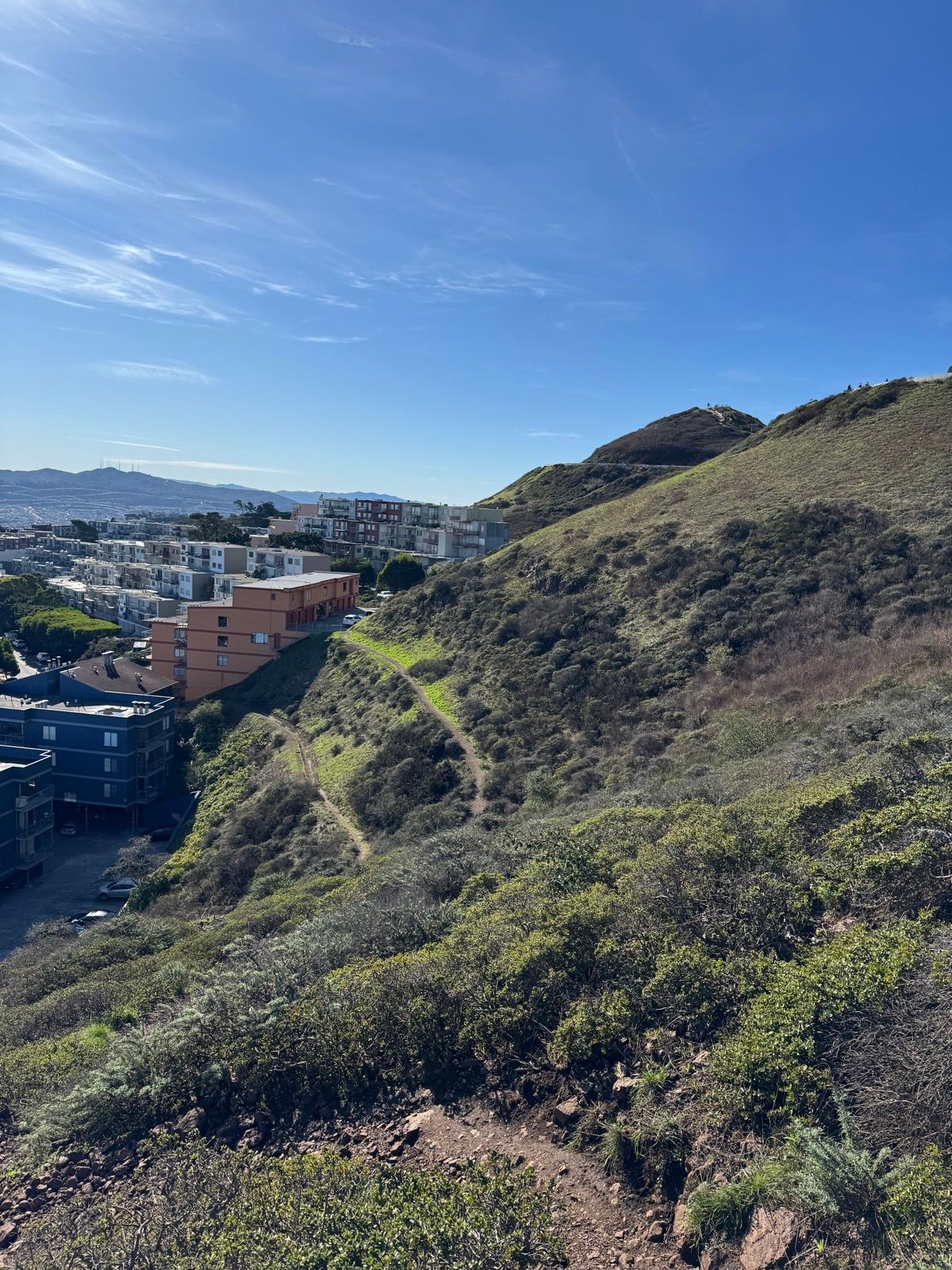 Lunch Walk