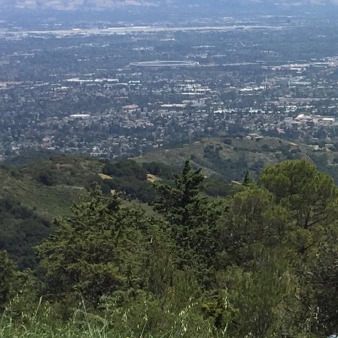 The new Apple campus, surrounded by nowhere for any of the emploees to live, from Ridge Winery, which is lovely.