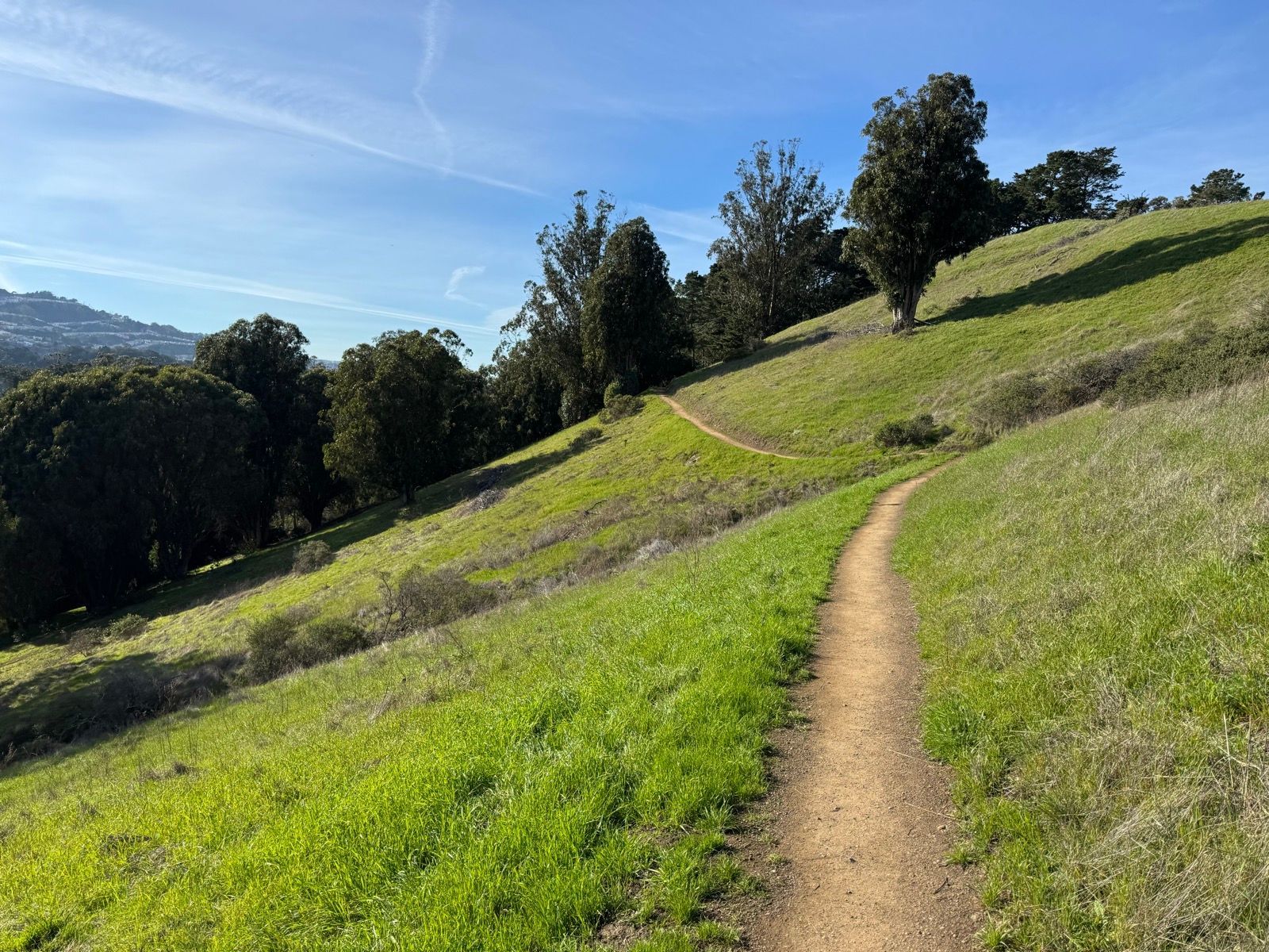 Afternoon Walk