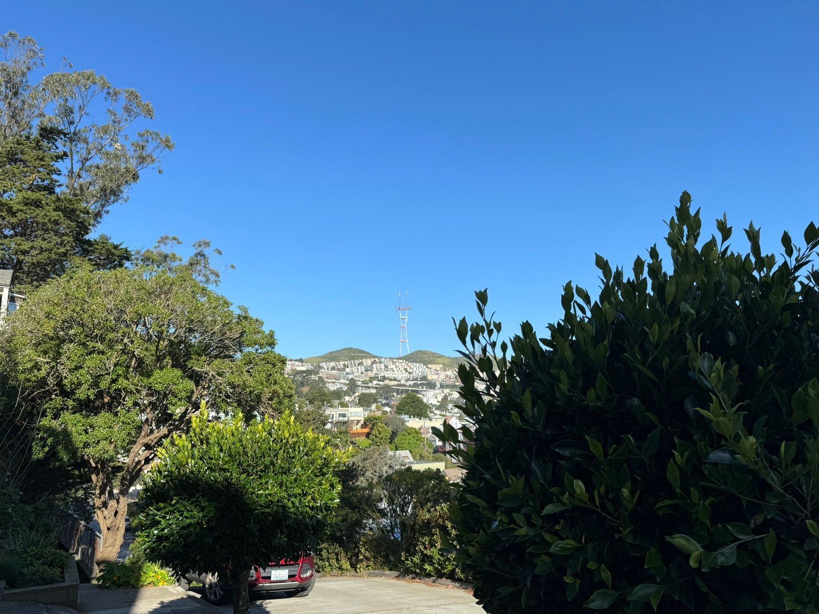 Morning Walk