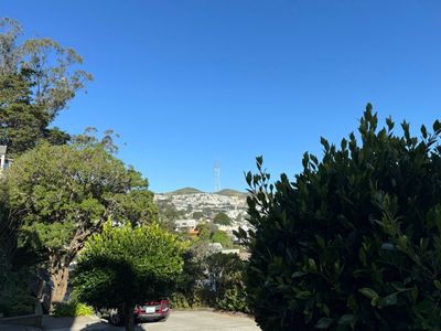 Morning Walk