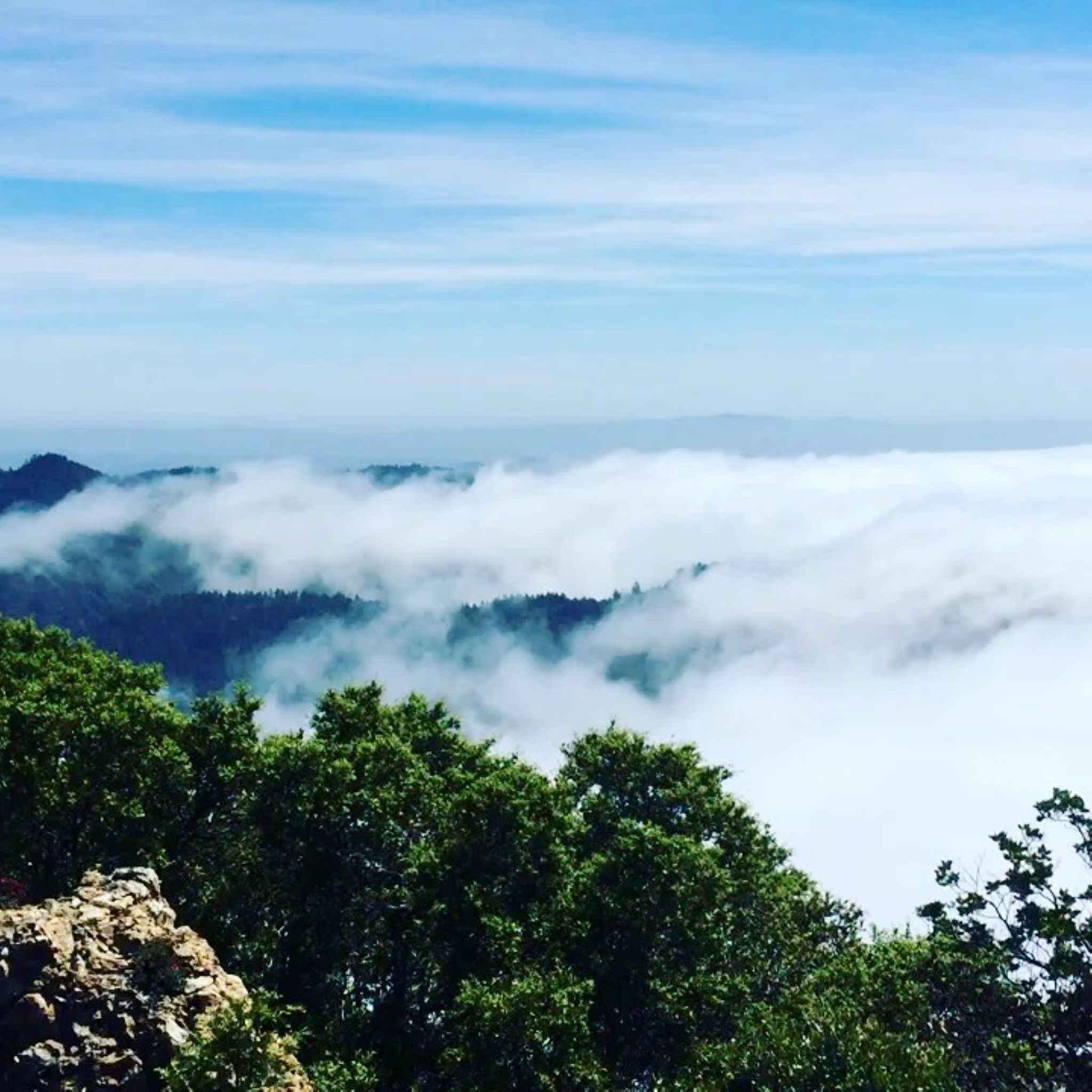 Mt St Helena