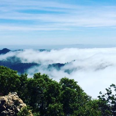 Mt St Helena