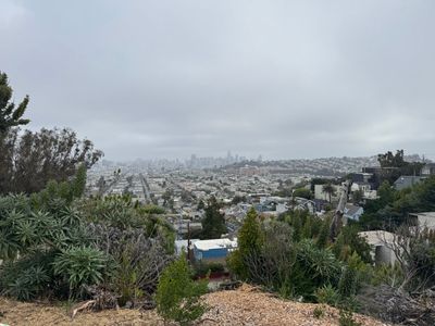 Morning Walk