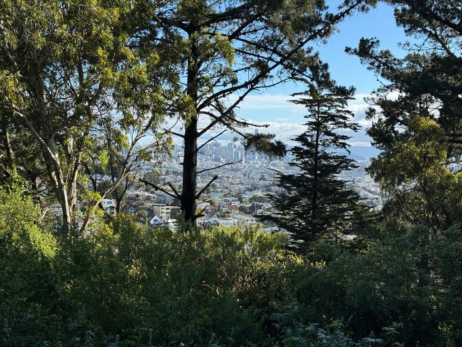 Morning Walk