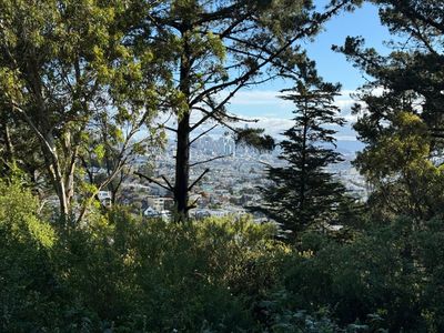 Morning Walk