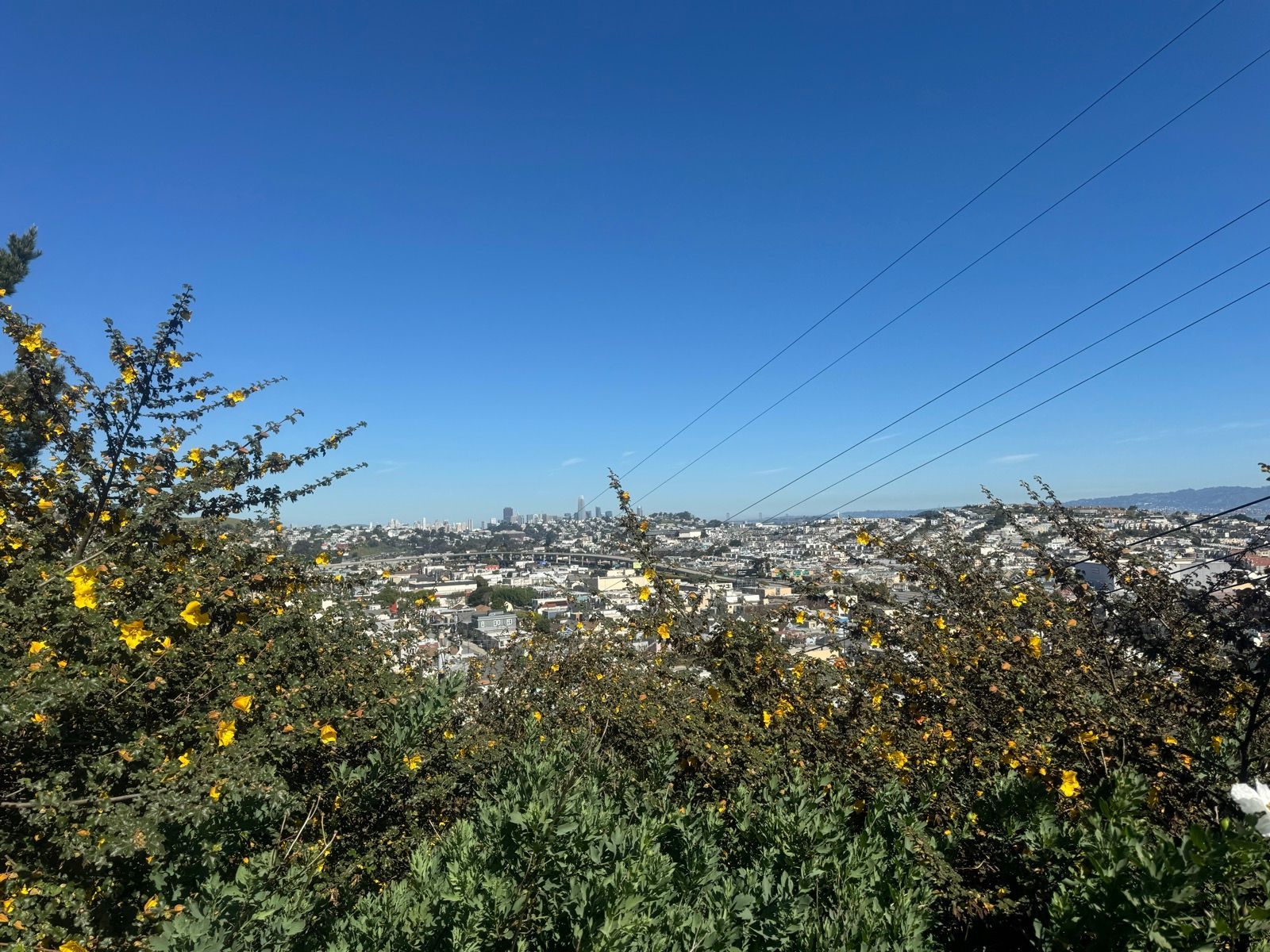 I have finally walked all of the portola.