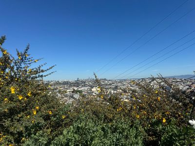 I have finally walked all of the portola.