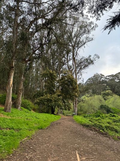 Morning Walk