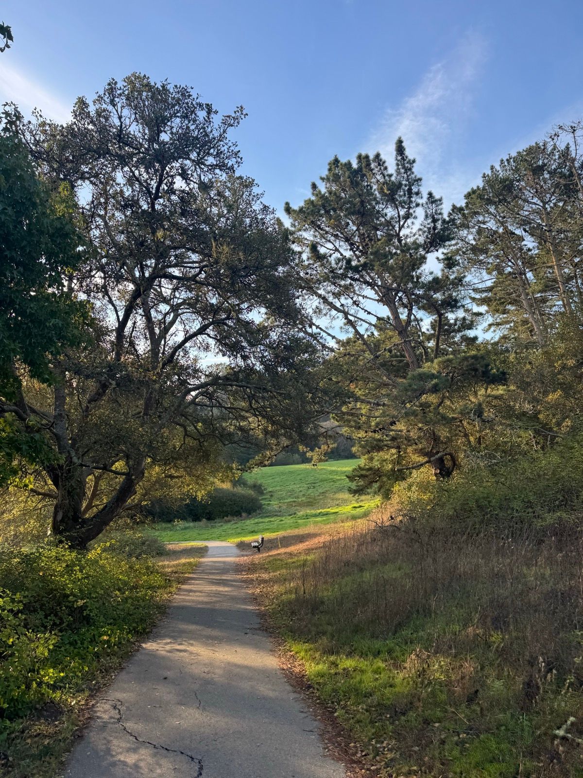 Morning Walk