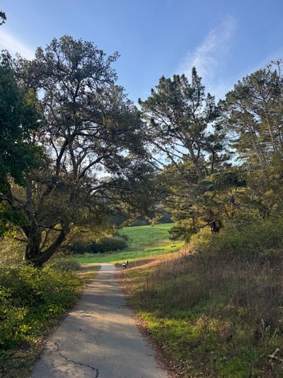 Morning Walk