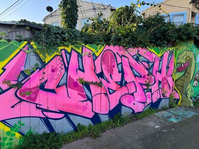 Morning Walk