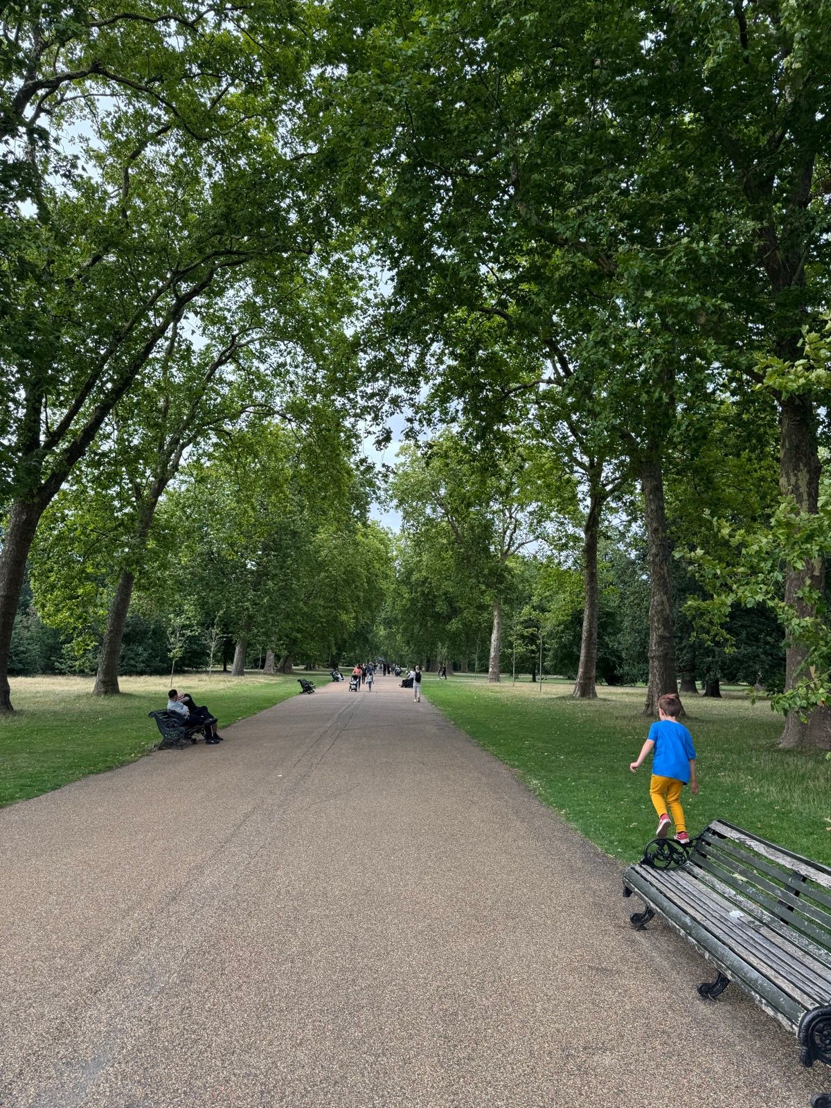 Evening Walk