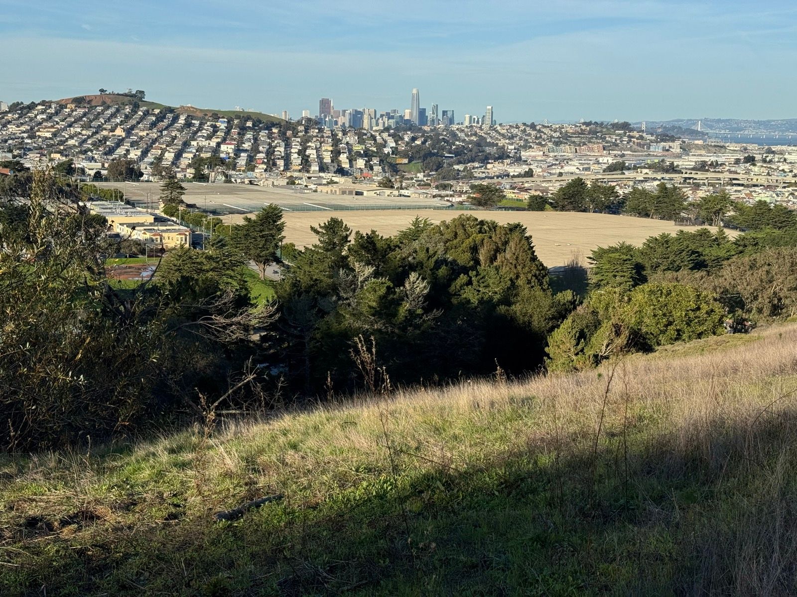 Afternoon Walk