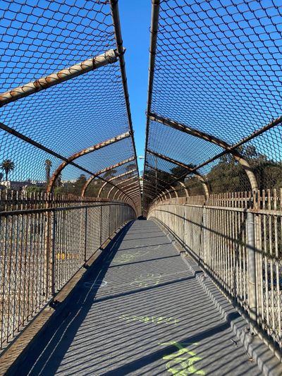 Afternoon Walk