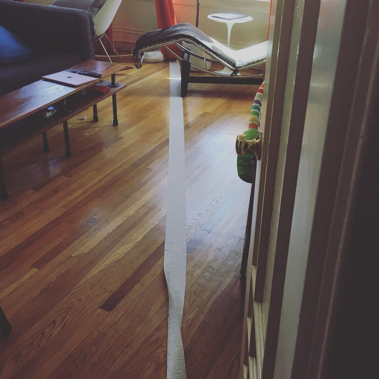 toilet paper run across my apartment