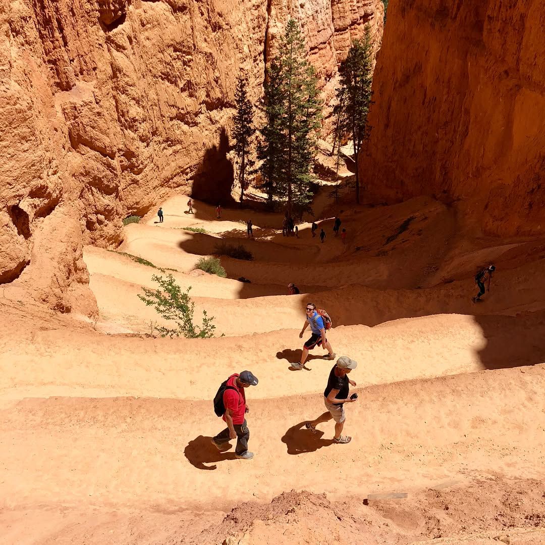 Bryce Canyon is amazing! All the actual canyon rock formations pics are in the SLR, oops.