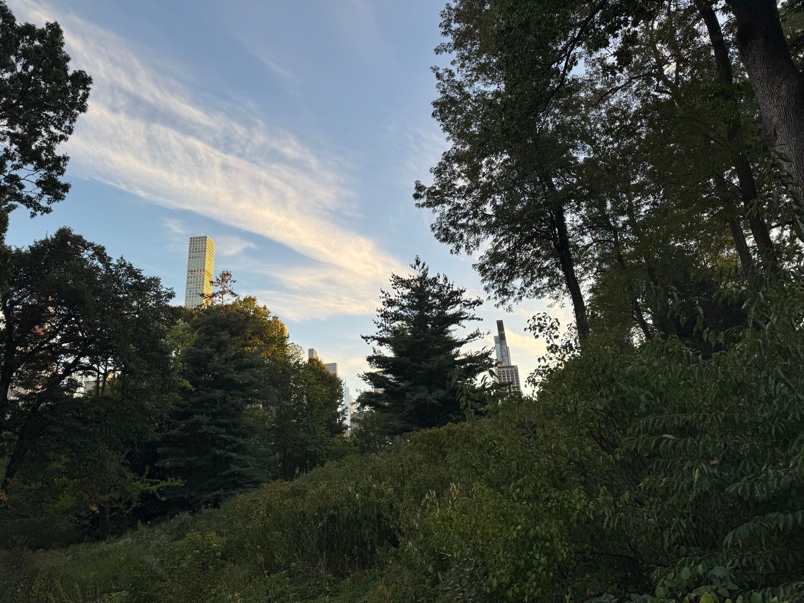 Evening Walk