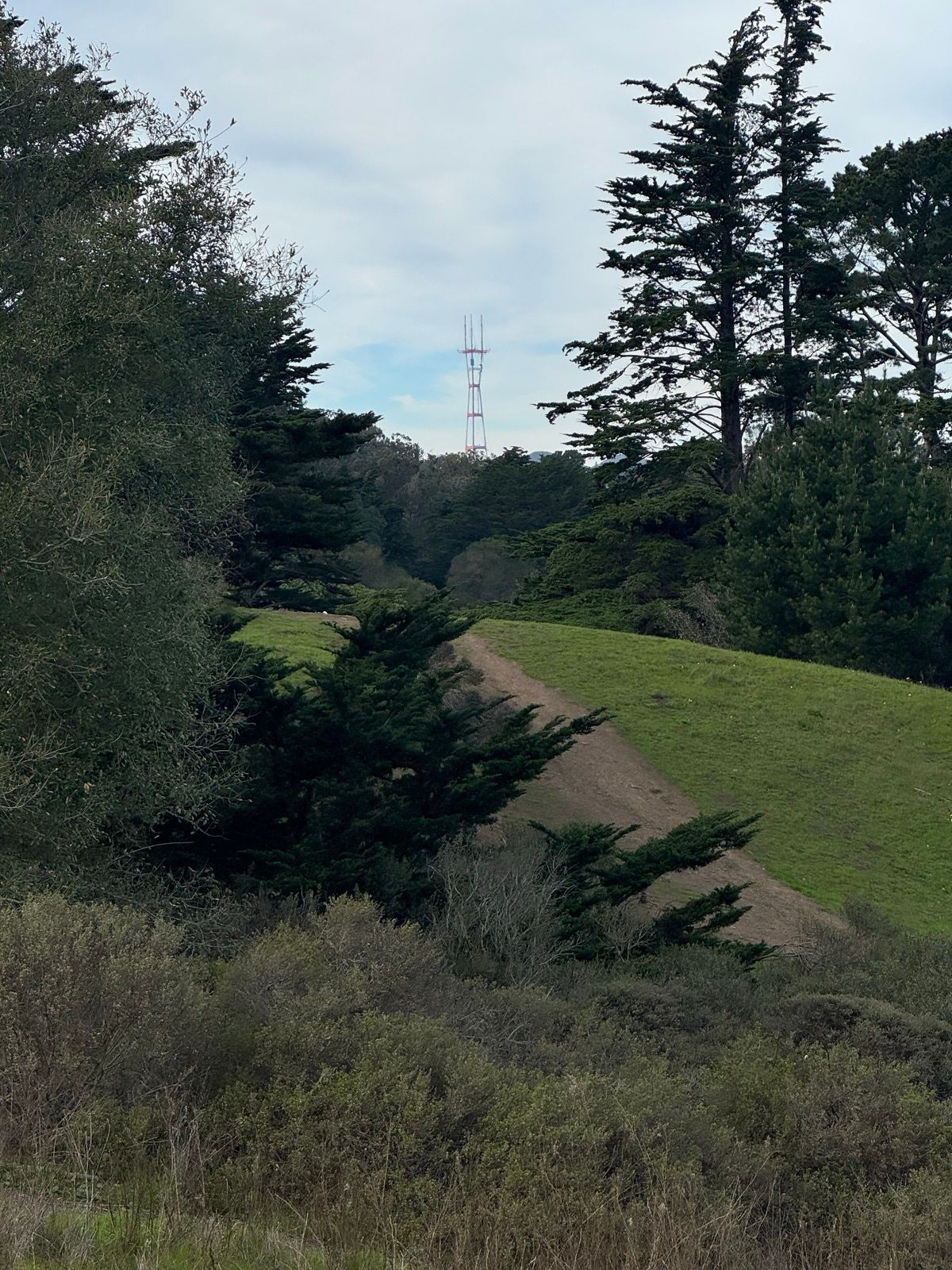 Afternoon Walk