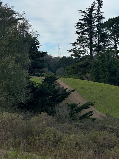 Afternoon Walk