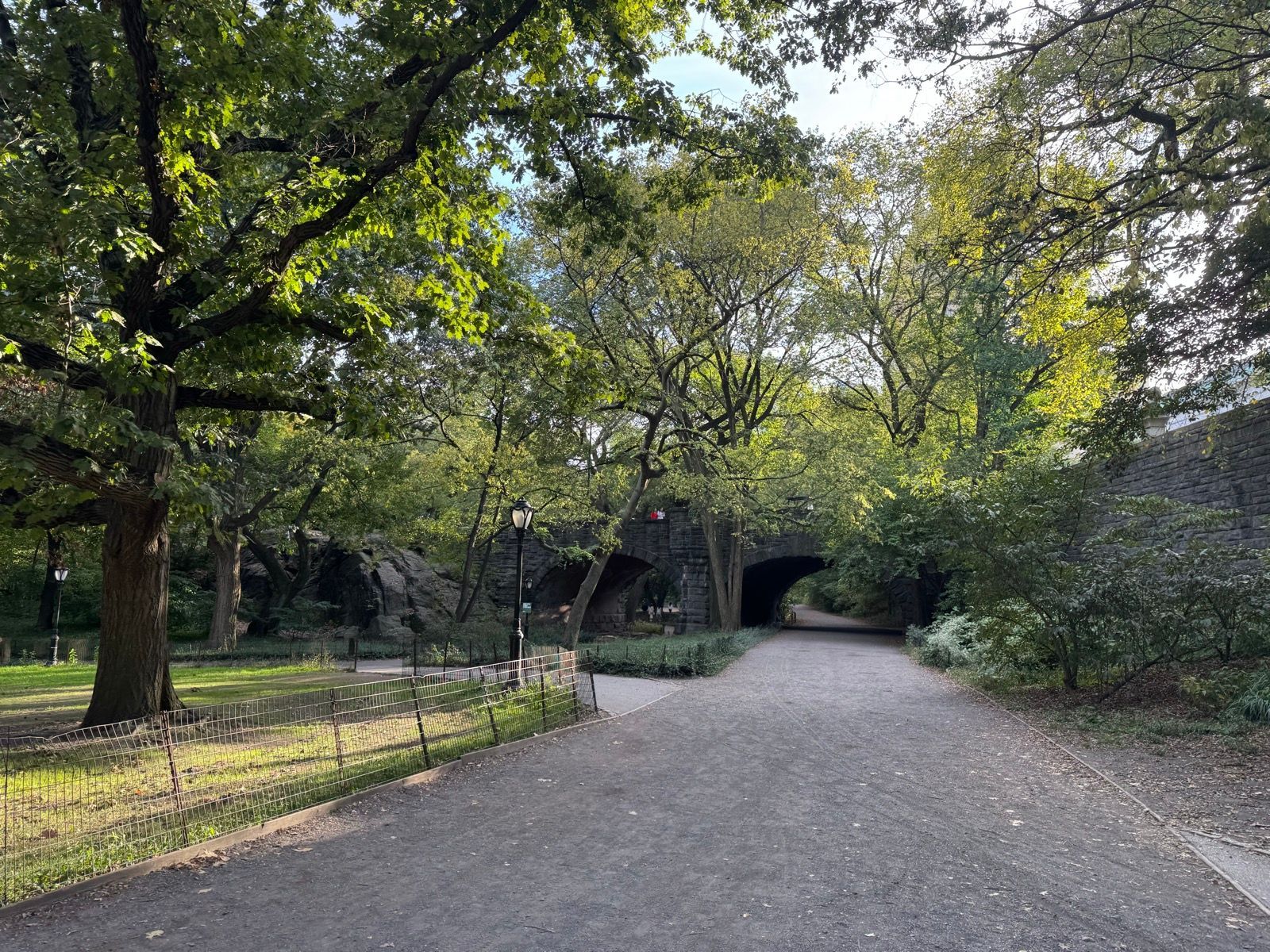 Evening Walk