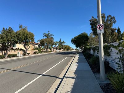 Afternoon Walk