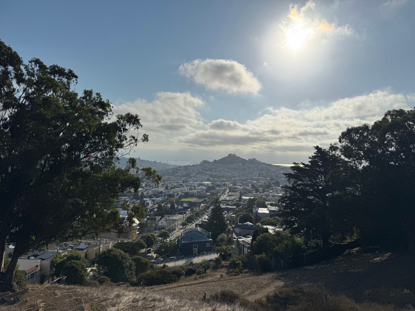 Morning Walk